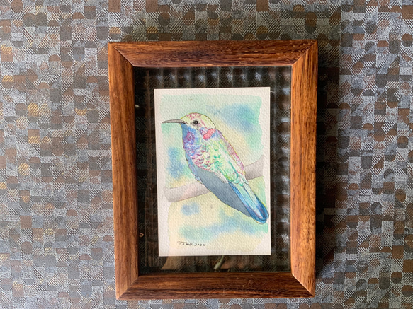ハチドリ(水彩、色鉛筆画) 額付き その他インテリア雑貨 アルモニーア
