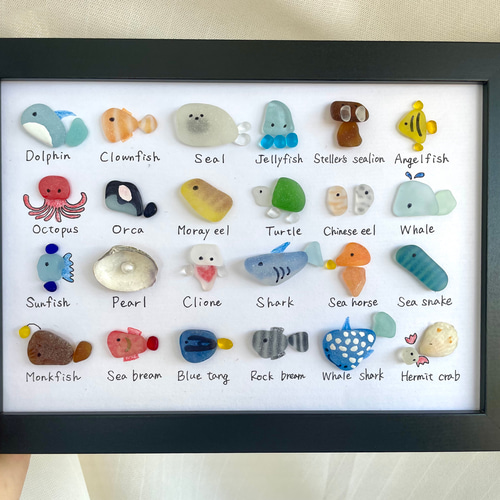 シーグラスアート☆No155 図鑑 ギフト プレゼント 父の日 水族館