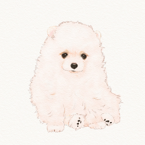 ペット似顔絵 うちの子イラスト 犬の絵 猫の絵 イラストオーダー