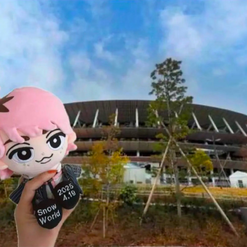 刺繍ぬい靴 単品 すのチル チルぬい BIG SnowMan アイドル 服