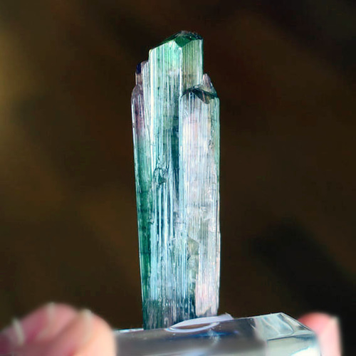 トルマリン原石 バイカラ― 48mm 天然石 コレクション｜原石・鉱物｜10