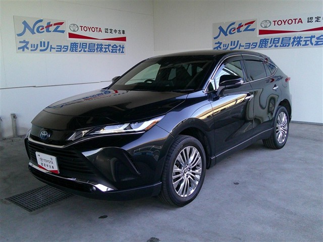 鹿児島県 日産 エルグランドの中古車｜中古車EX