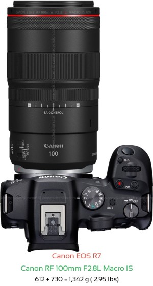 Canon R7 Camera and Canon RF 24mm F1.8 IS Lens