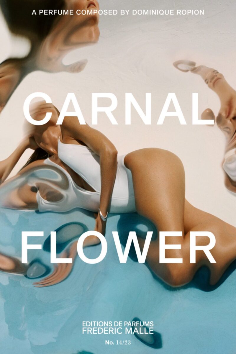 フレデリック マル】カーナル フラワー（ドミニク・ロピオン