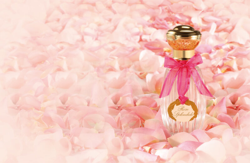 ローズ スプレンディド｜守ってあげたくなる、グタールのピュアローズ