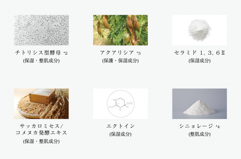 美しい素肌をはぐくむカシー化粧品 | 公式サイト | 