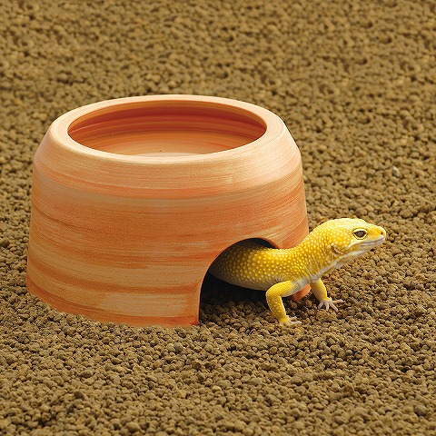 ウェットシェルター極 L〔ｽﾄﾞｰ〕 | 爬虫類倶楽部