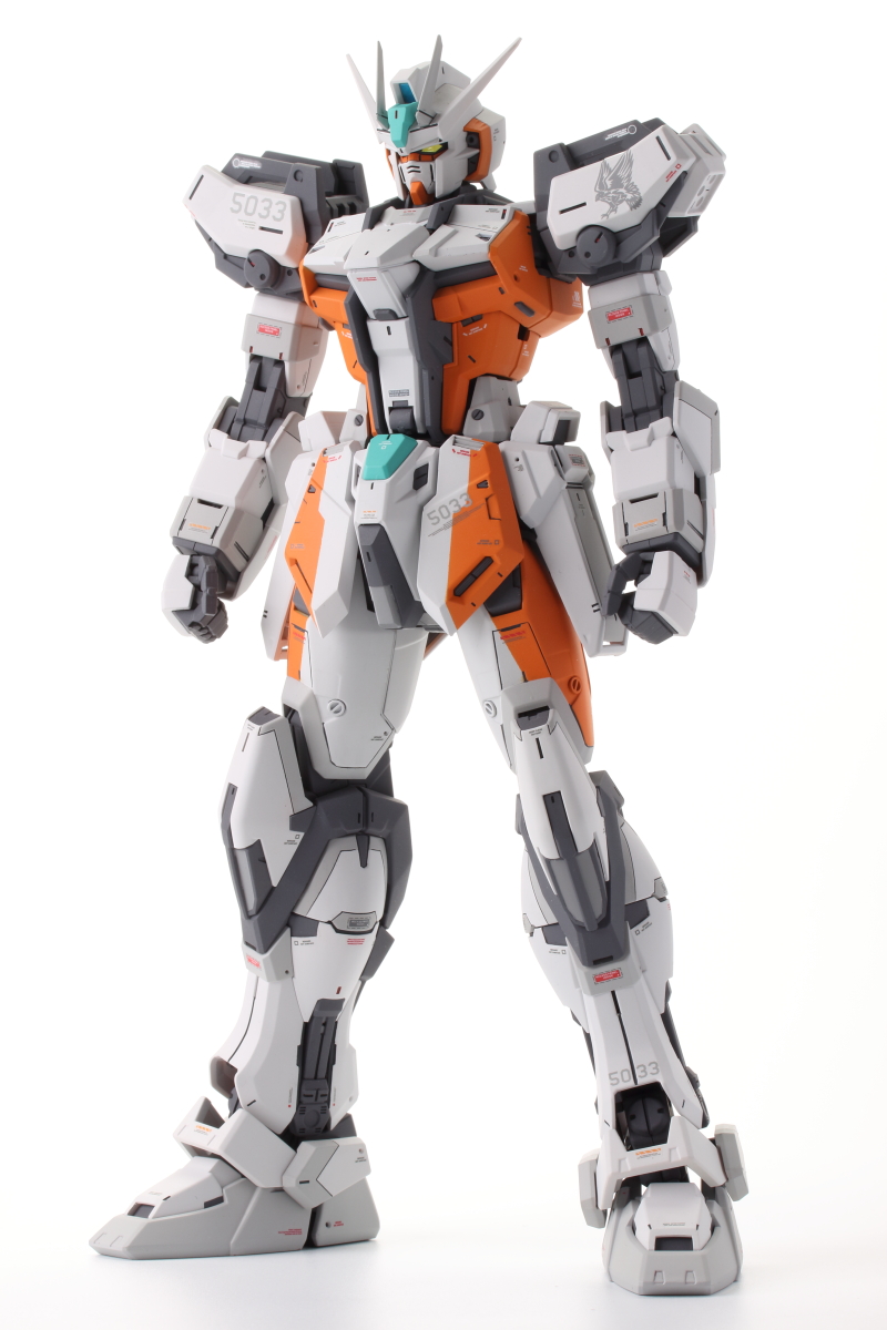 MG ストライクガンダム Ver.RM+I.W.S.P. - TADASの森