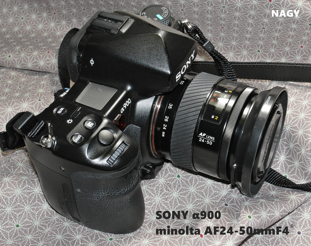 minolta AF24-50mmF4 - nagy's diary
