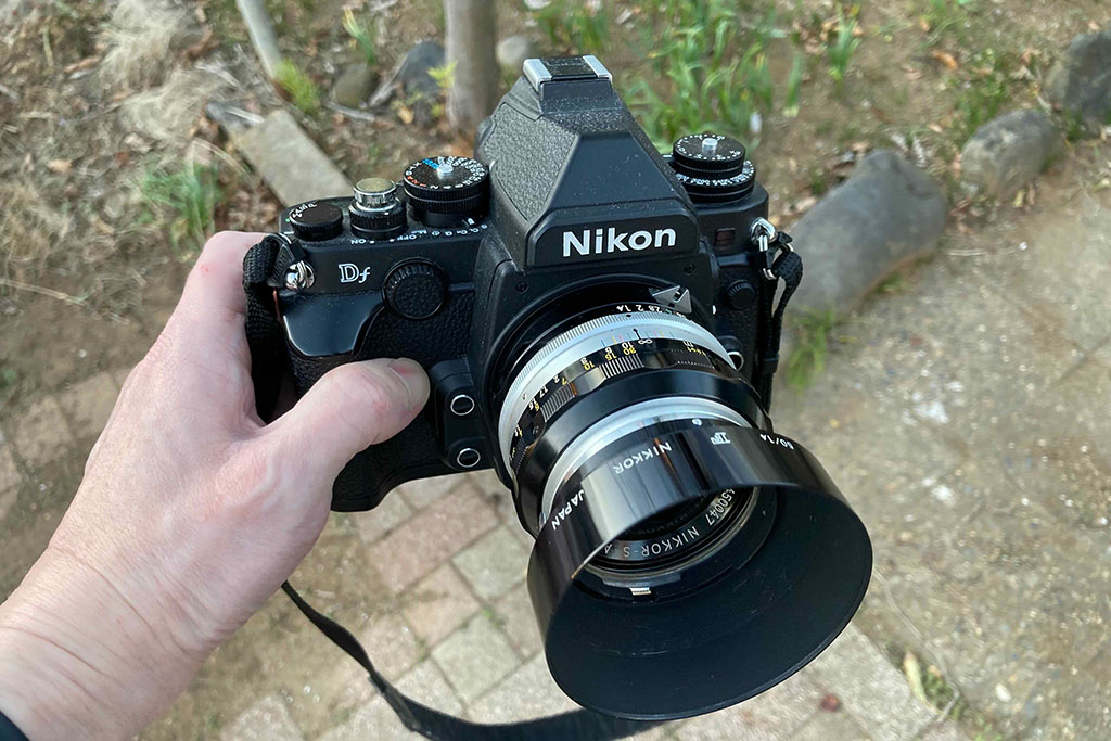 NIKON DfとNikkor-S Auto 50mm f1.4で撮ってきた - カメラが欲しい