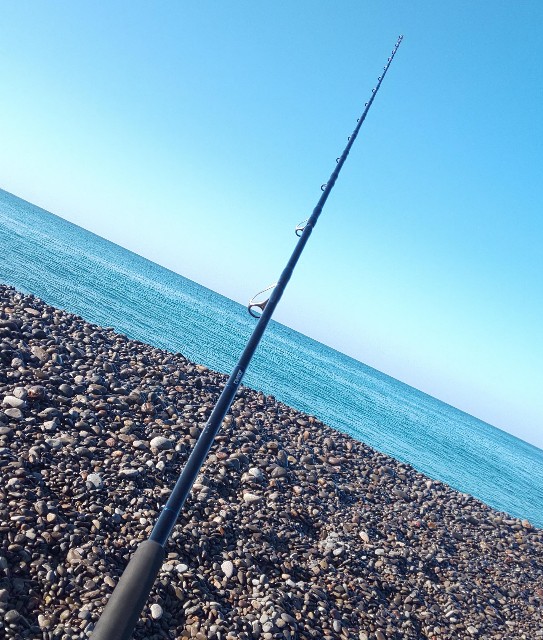 ゼナック ミュートス アキュラ 100H RG インプレ - ルアりずむ