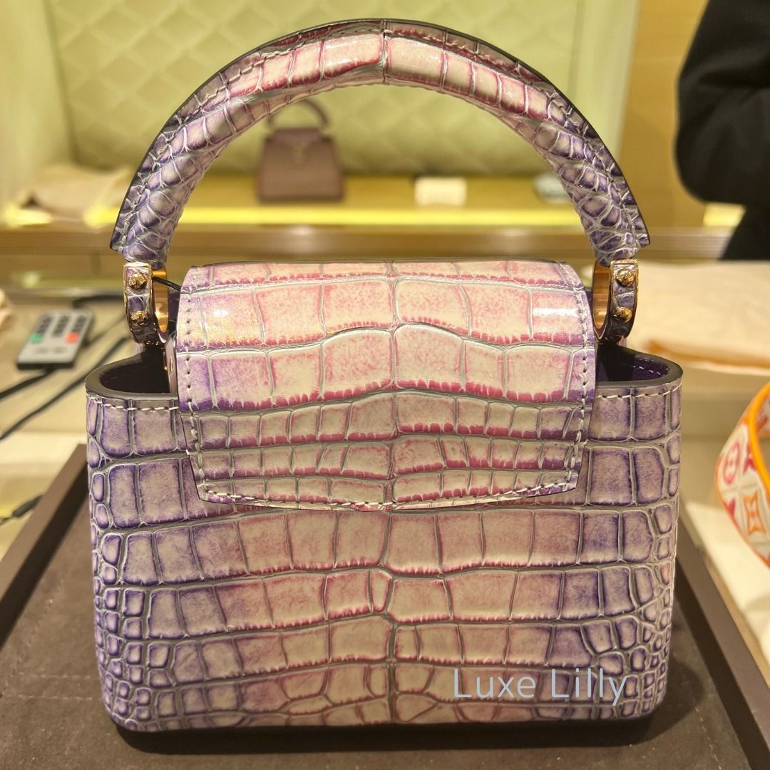 超貴重！【ルイヴィトン】カプシーヌ ミニ mini /アリゲーター (Louis