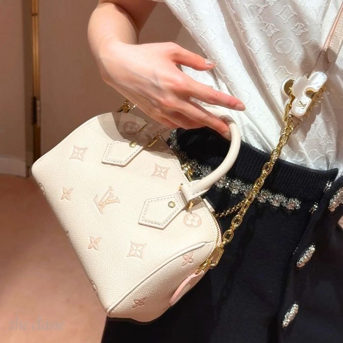 辻ちゃん愛用♡可愛い】Louis Vuitton スピーディー 20 (Louis Vuitton