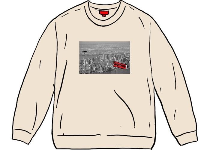 12 Week FW 20 Supreme Aerial Crewneck (Supreme/スウェット