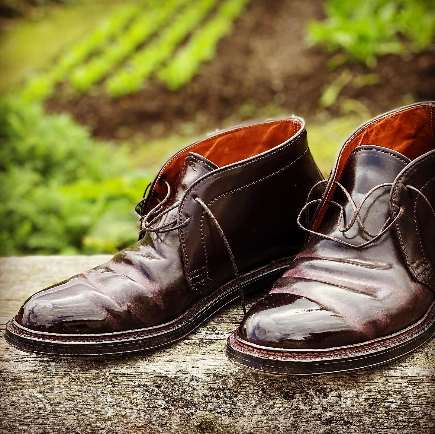 Alden 1339 | Order Alden 1339 Color 8 Shell Cordovan Chukka Boots