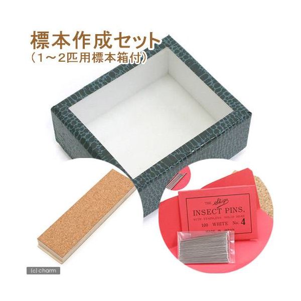 志賀昆虫普及社 志賀昆虫 標本作成セット(1~2匹用標本箱付き) 66893 1