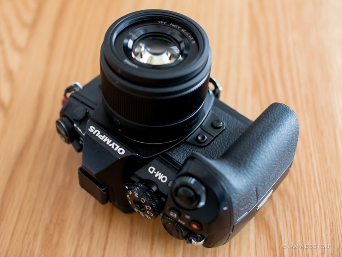 MFTの撒き餌レンズPanasonic LUMIX G 25mm F1.7 ASPH.はとても普通で