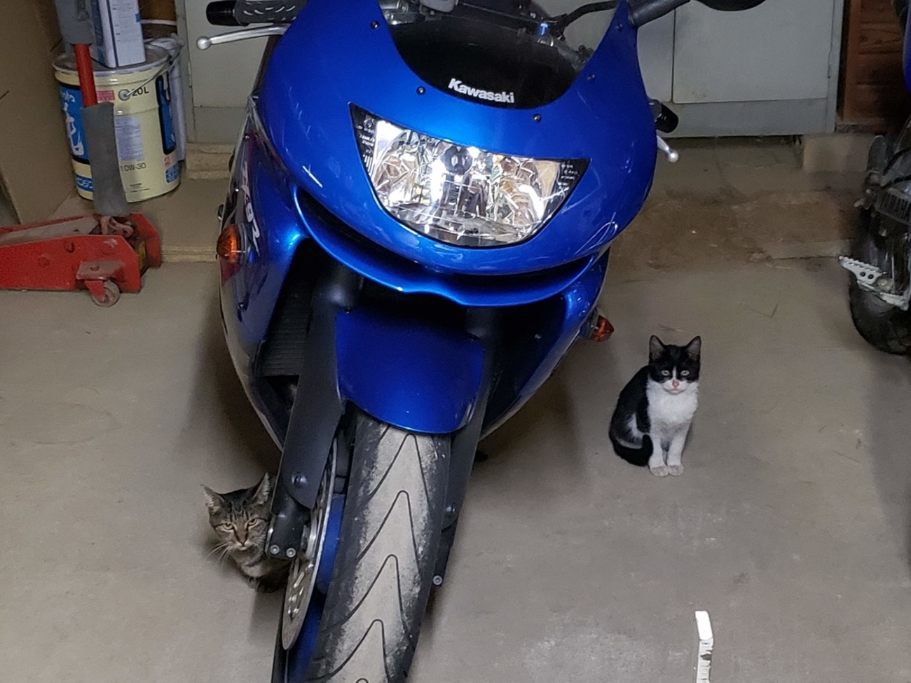 backend=imagemagick;version=1;