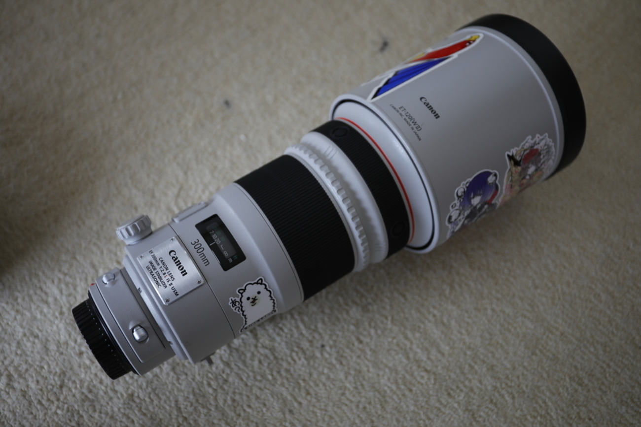 EF 300mm F2.8L IS II USMのレビュー的なもの - ありはらろぐ