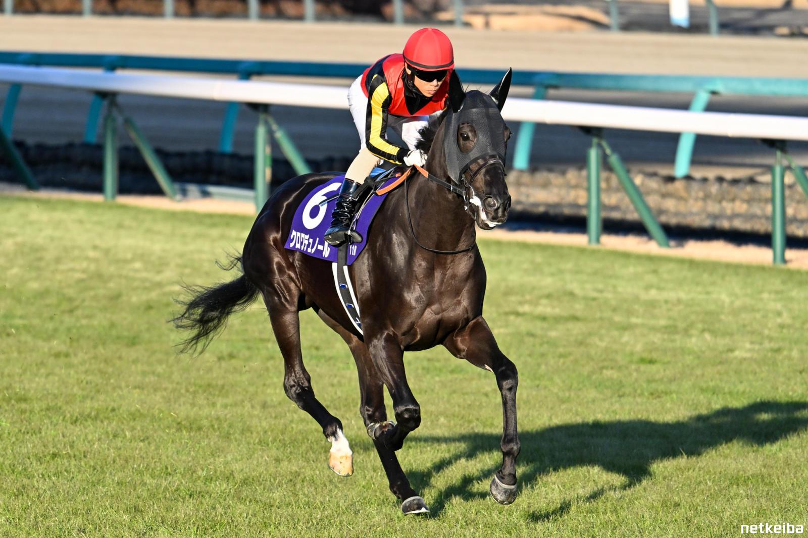 クロワデュノール (Croix du Nord) | 競走馬データ - netkeiba