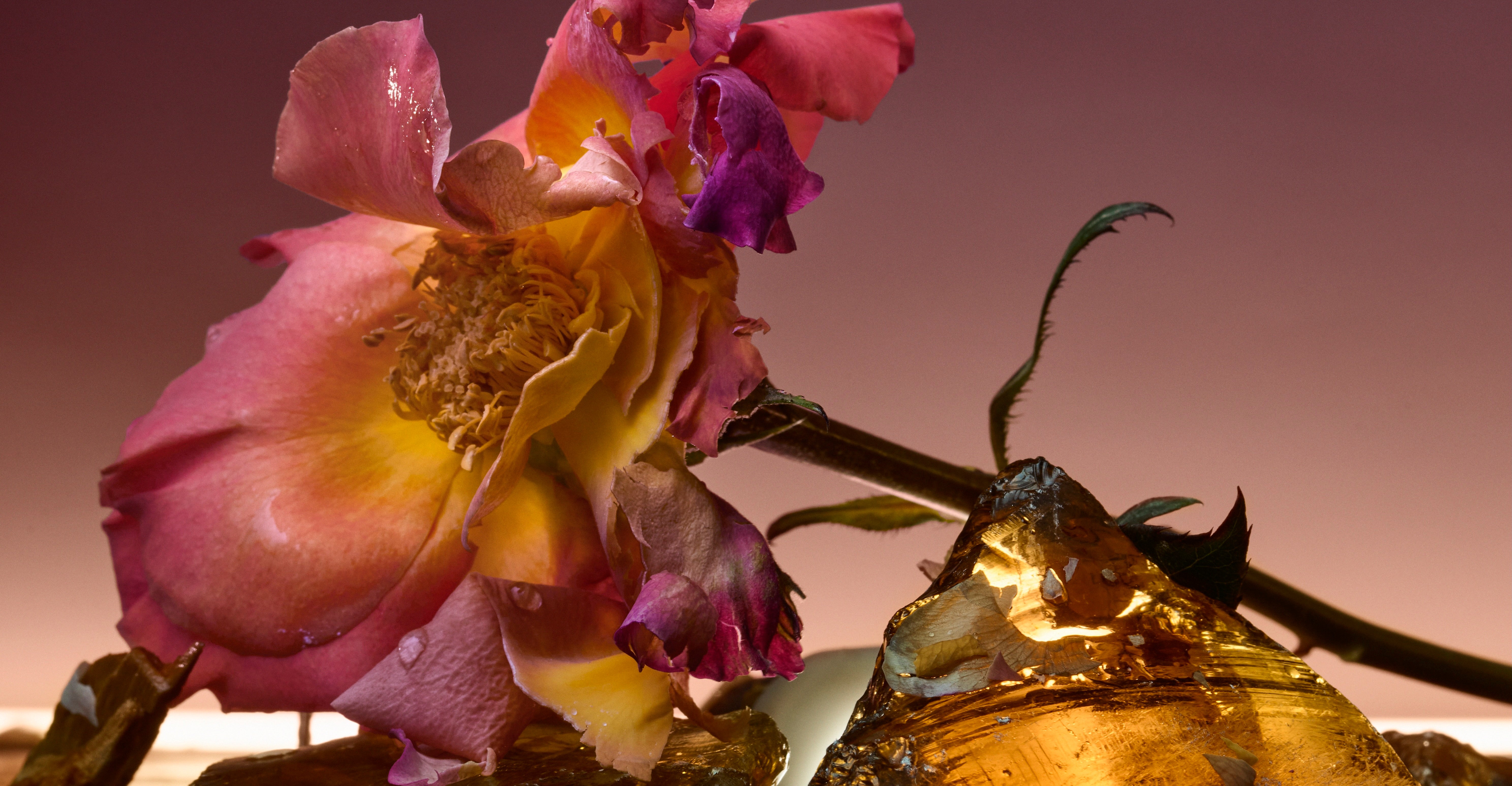 エクストレ ドゥ パルファンコレクションに、⼆つの魅惑的な新作