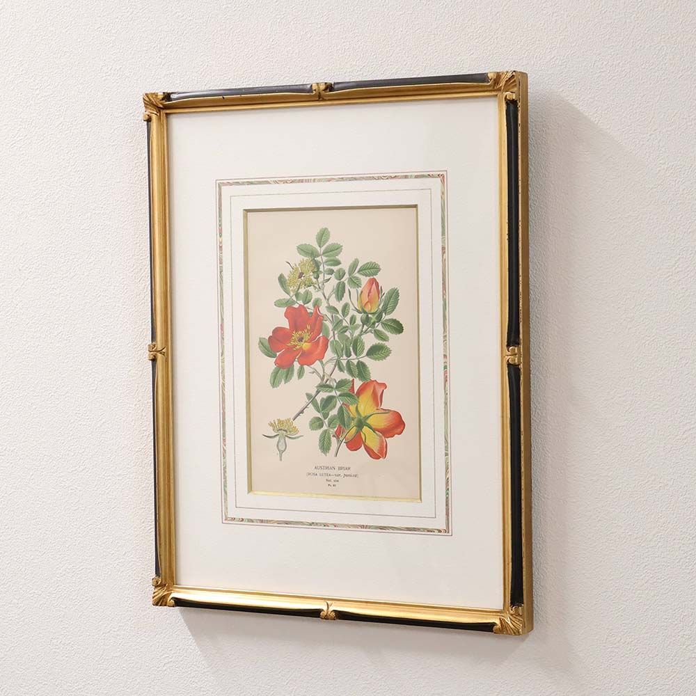 穏やかな色彩に心をゆだねて♪ ボタニカルアート 温室と庭園の花々