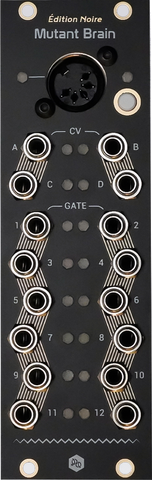Hexinverter Mutant Brain— Clockface Modular