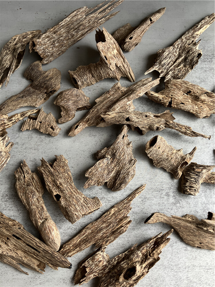 稀少款】野生加里曼丹沉香蟲漏(隨機十克) – 上景沉香｜提供純淨原始