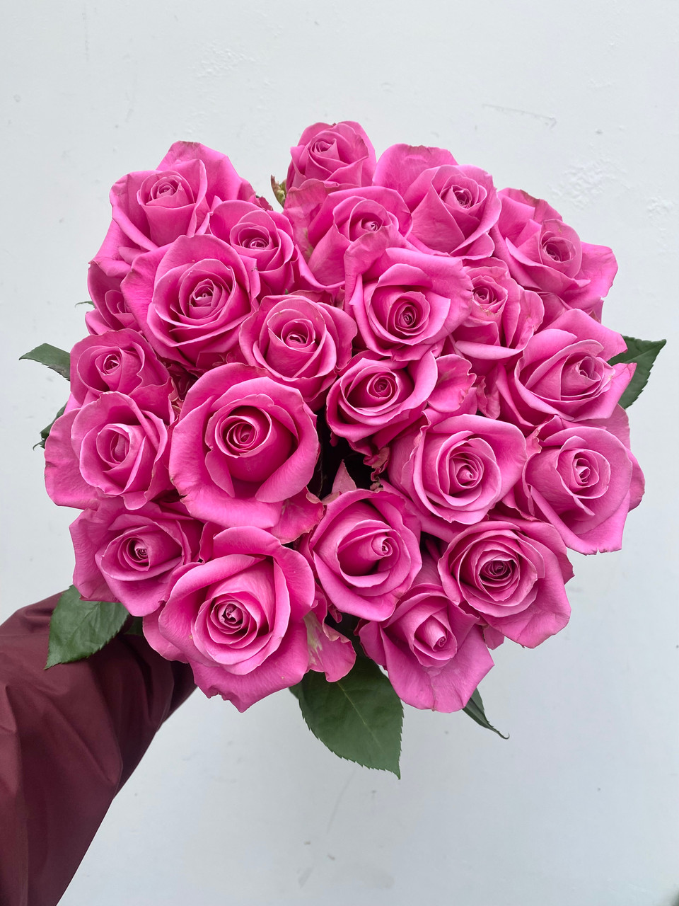 Soulmate Roses - 25st. - Ramirez Wholesale Flowers Inc