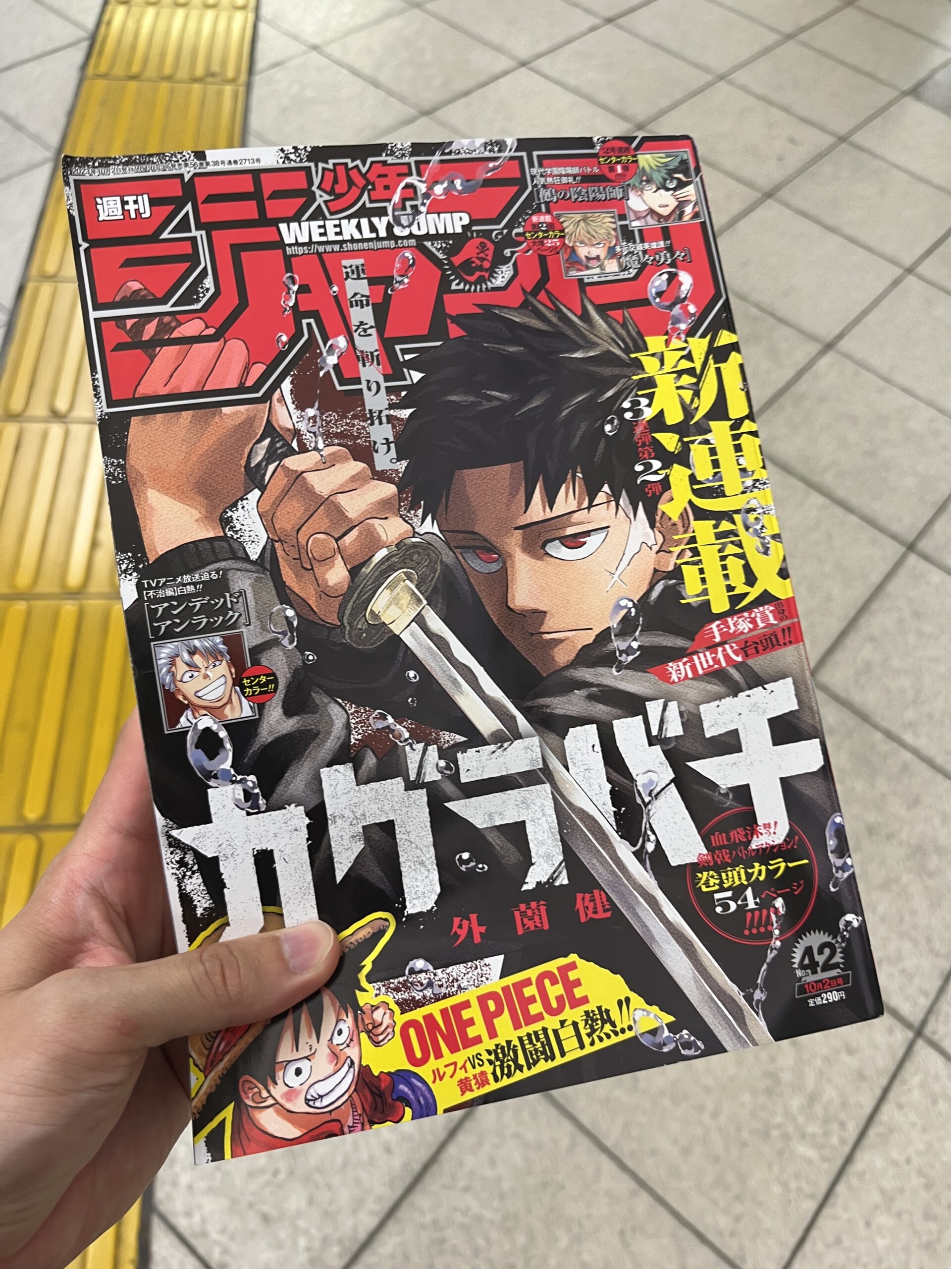 臆病者のマンガブログ | 週刊少年ジャンプ秋の新連載第2弾『カグラバチ