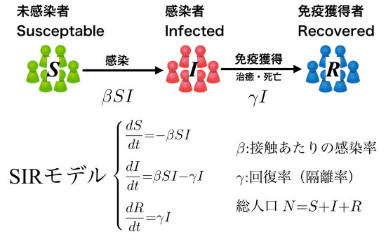 感染症流行を予測する数理モデル SIR｜微分方程式による