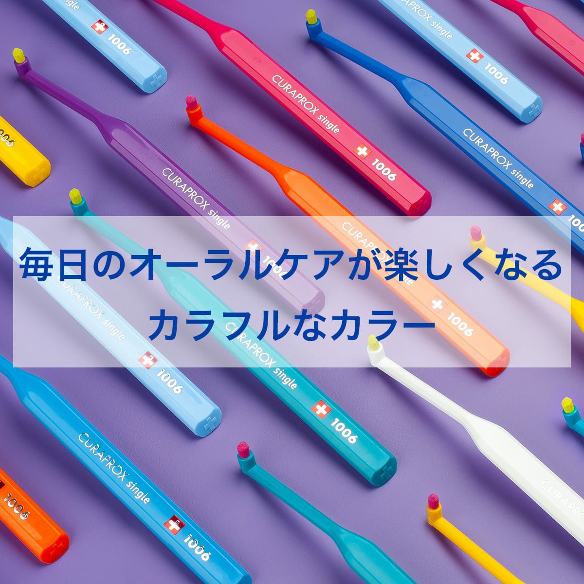 シングル歯ブラシ CS1006 1本 | クラプロックス オンラインショップ