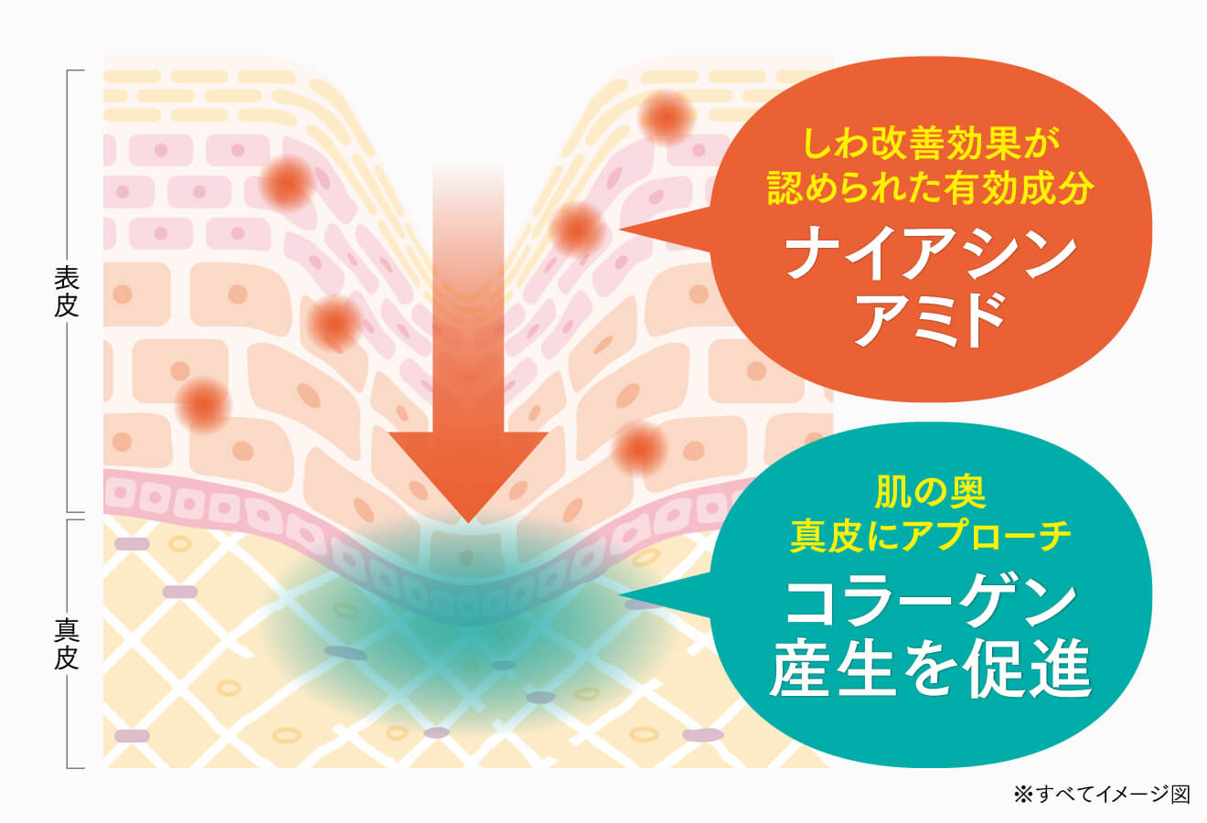 キミエリンクルホワイト｜富山常備薬【公式通販】