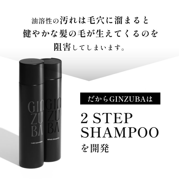 suga。Anシャンプー×3カートリッジ×2 suga。Anシャンプー×3