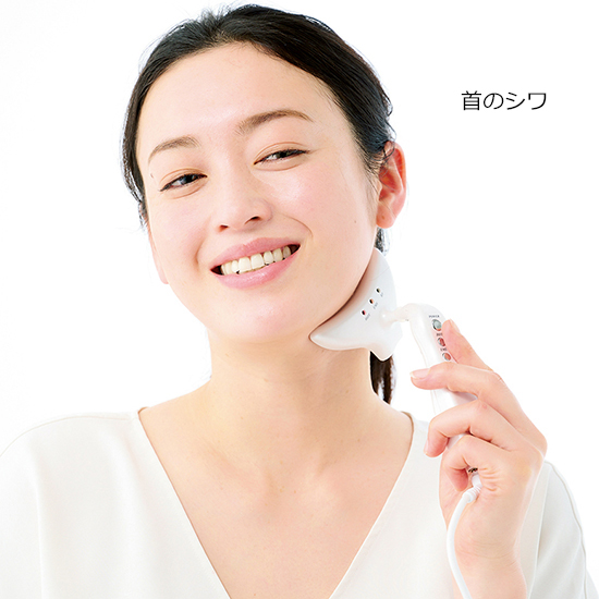 シルクフェイサー]シルクフェイサー(新ナソラビアルフォールド