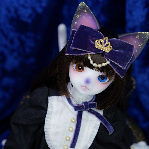 DOLK×DEAR MINE】VIVIEN L. Starlight ver. Limited ＜ドル沼CH再販