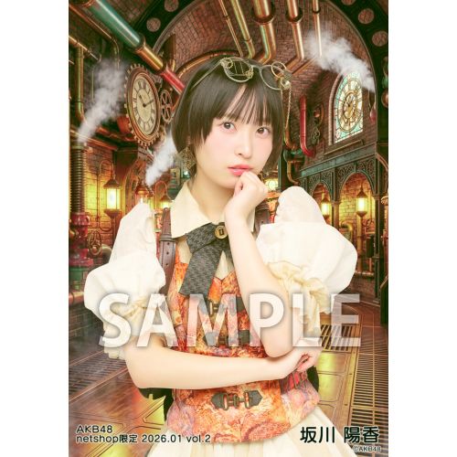 予約商品】AKB48 2026年1月度 net shop限定個別生写真5枚セットvol.2