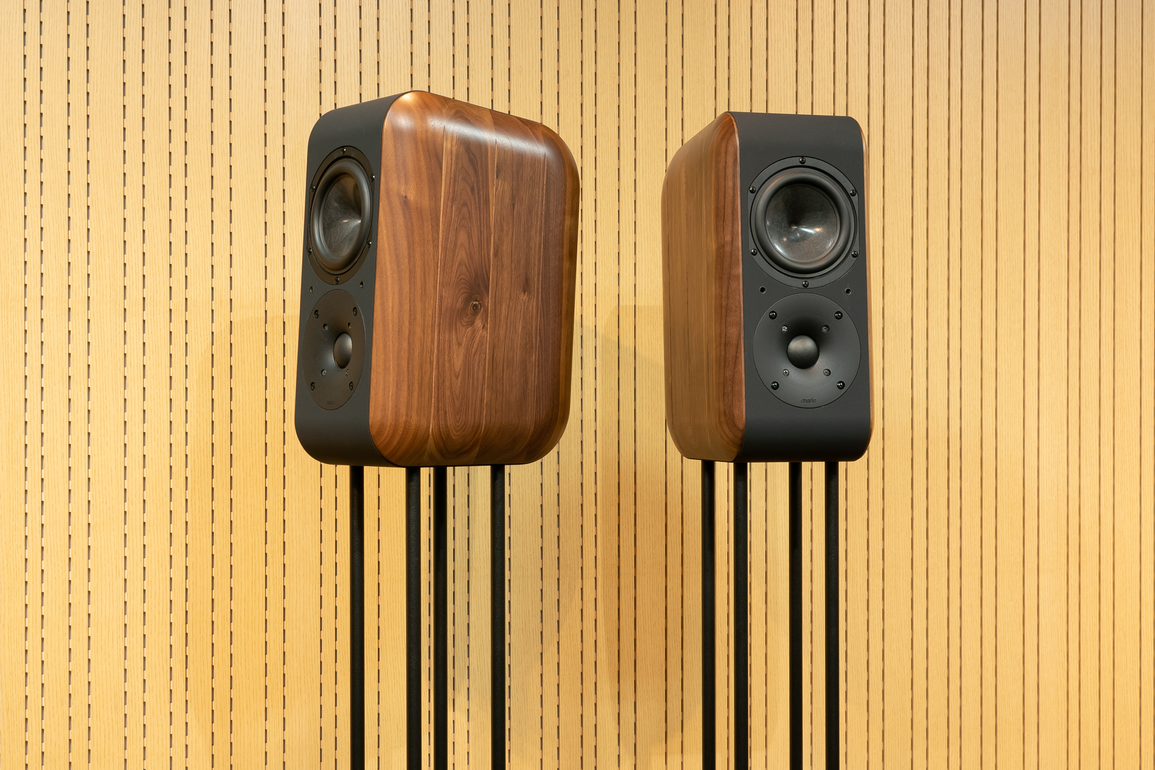 Chario | Dynamicaudio 5555 3F