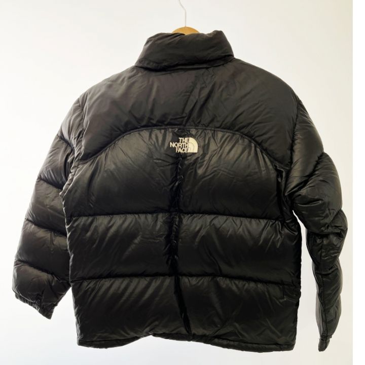 THE NORTH FACE ザノースフェイス バックセンターロゴ 90'sヌプシ