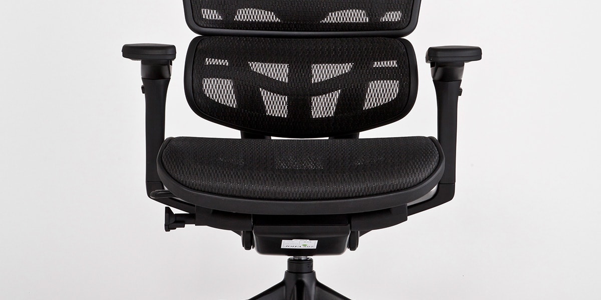 エルゴヒューマン ブラックエディション / ヘッドレスト有り【メーカー