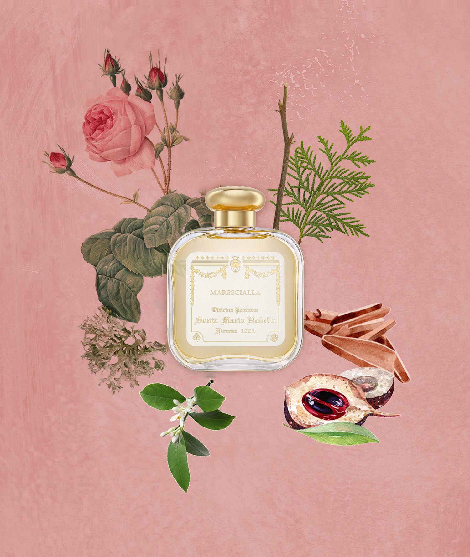 Marescialla: Eau de Cologne - Santa Maria Novella