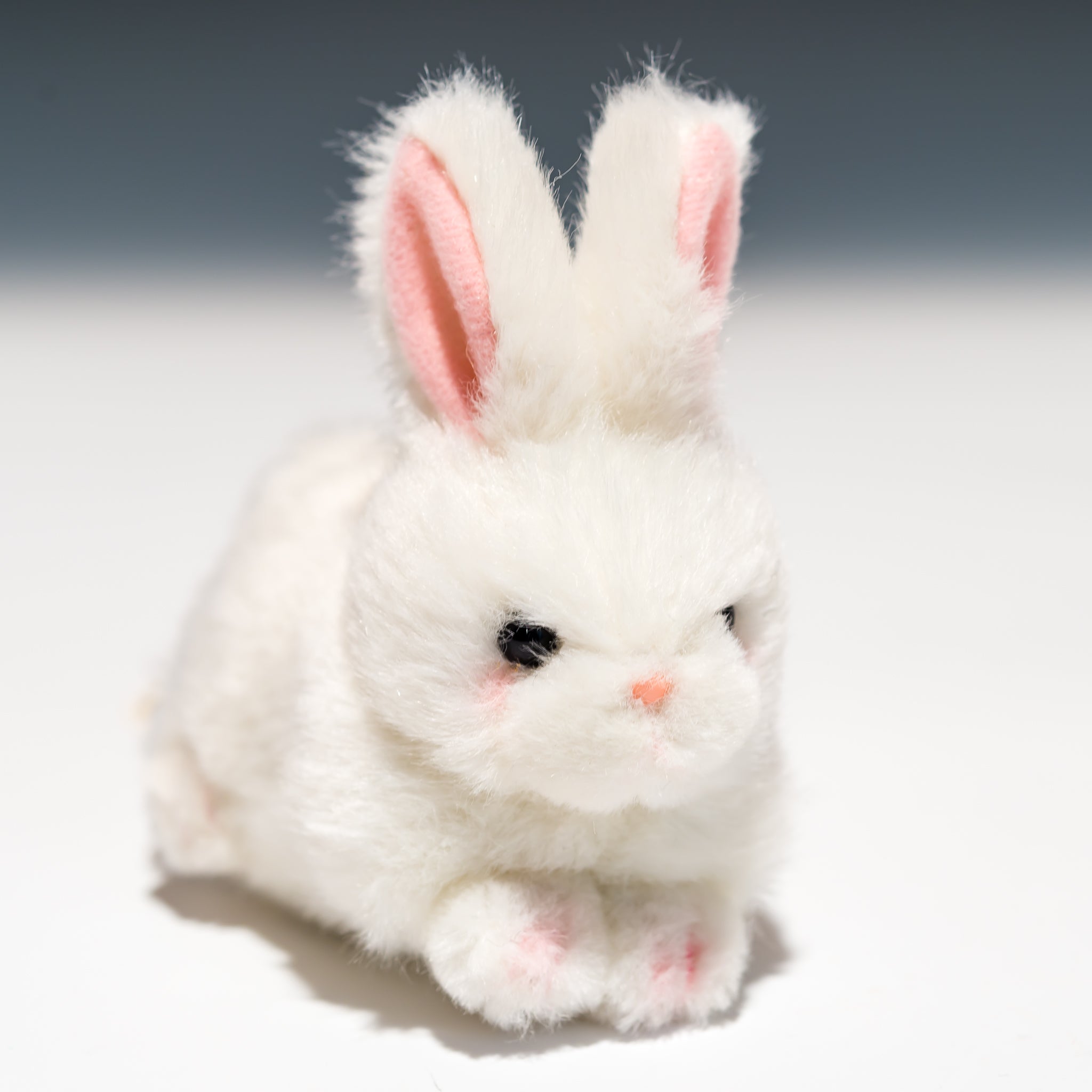 たけのこ TAKENOKO ぬいぐるみ プチプチらんど (A) ウサギ 白 58432