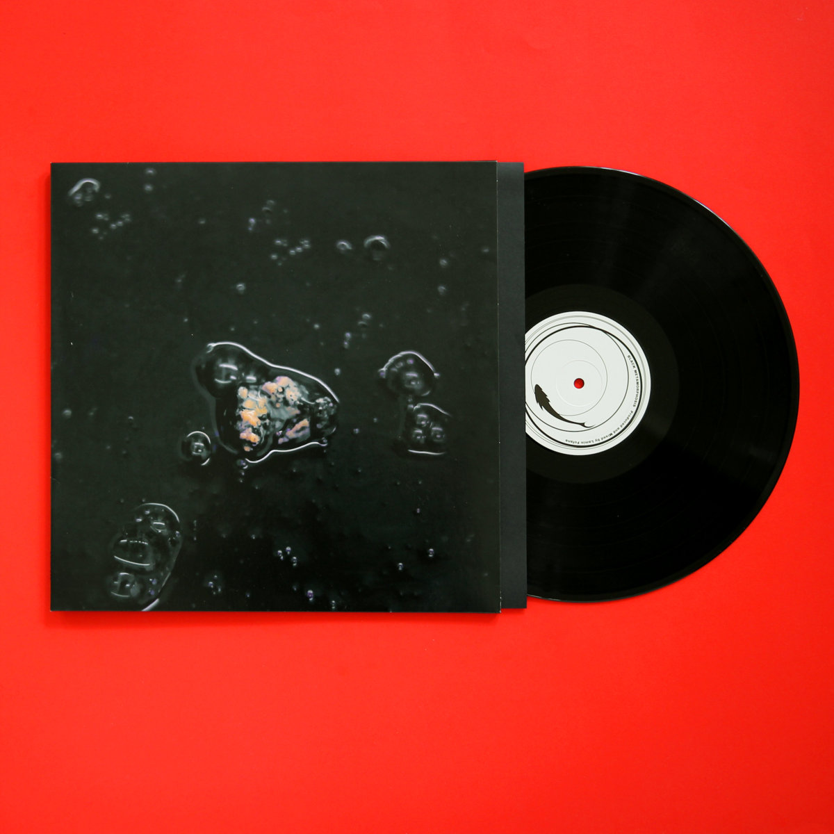 Black Metamorphosis | Lamin Fofana