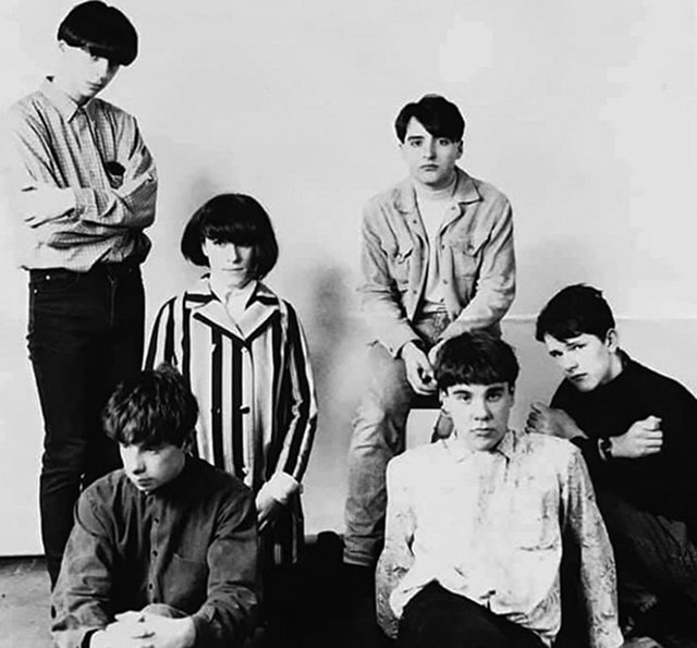 Stardust | The Sea Urchins