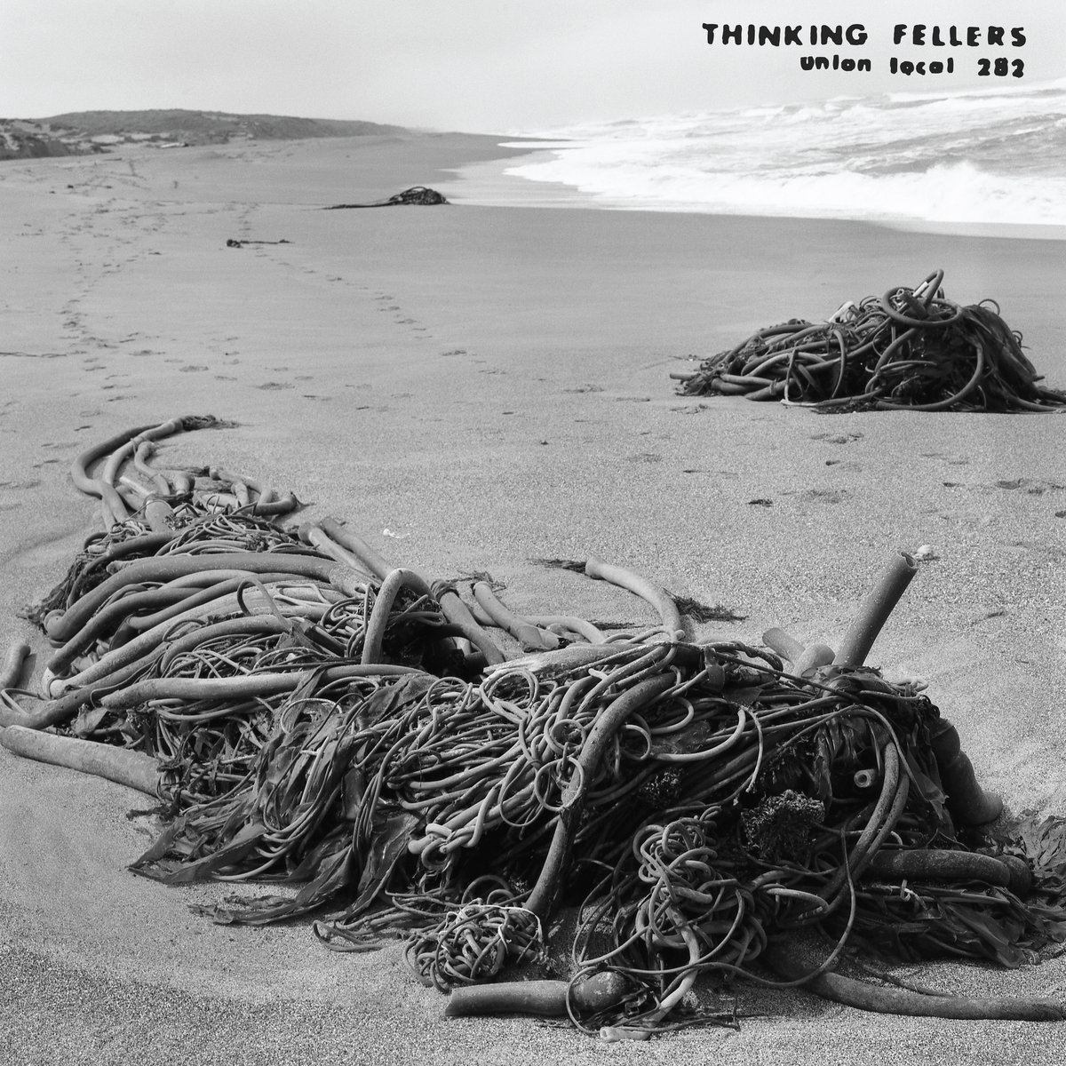 Thinking Fellers Union Local 282 -Tangle | Thinking Fellers Union