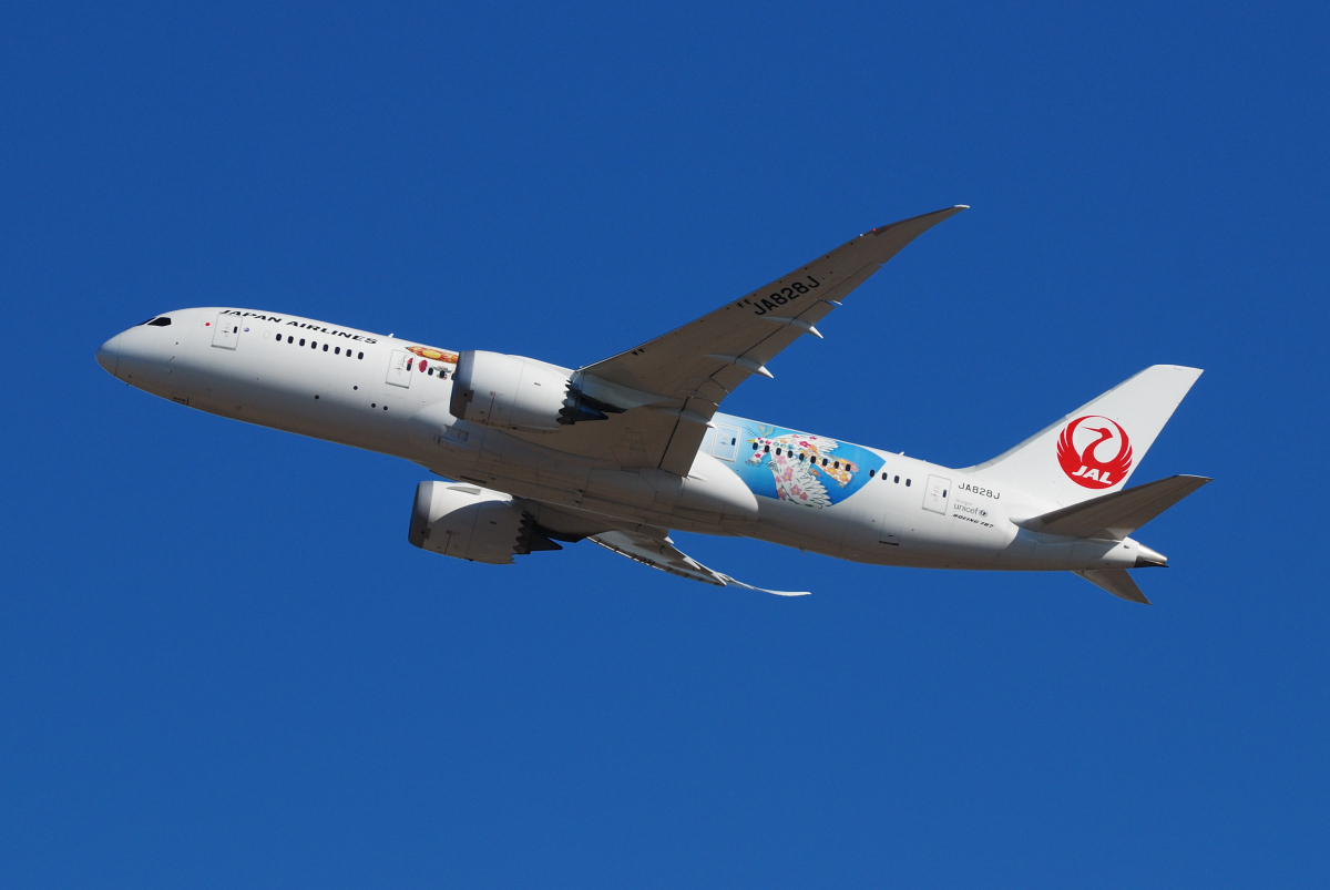 ニュース画像：JAL787初の特別塗装「JAL×ジブリ特別塗装」 (KRN6035