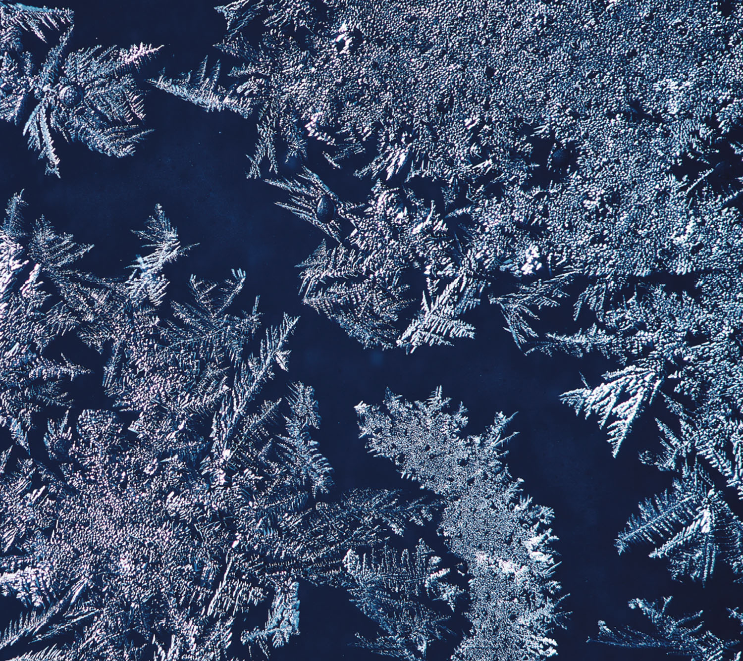 THA BLUE HERBがニューアルバムのトラックリストやジャケットを公開