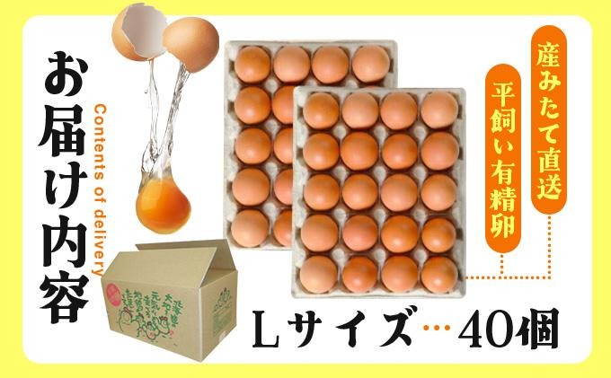 62acee9b-9a7e-4751-8df7-