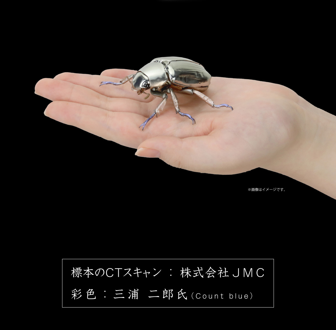 いきもの大図鑑アドバンス プラチナコガネとニジイロクワガタ