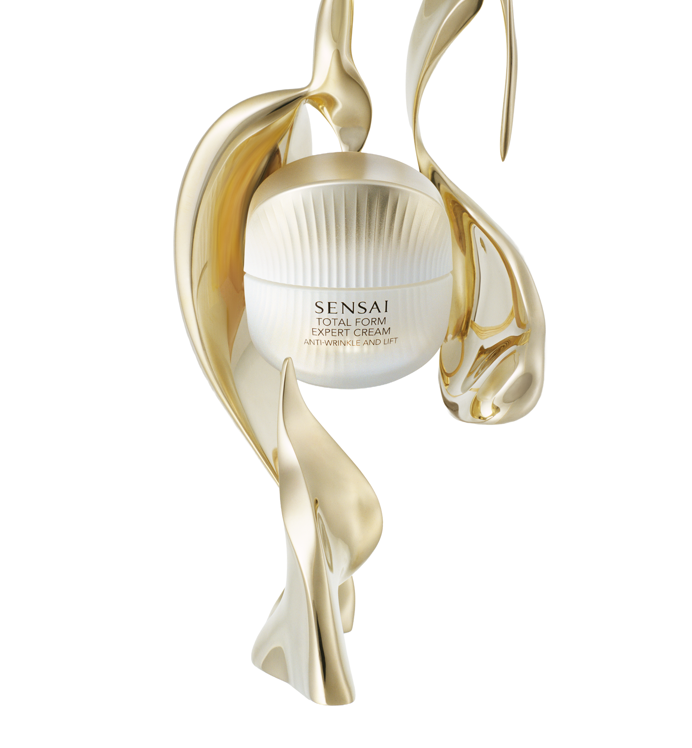 トータルフォルムエキスパート リンクルアンドリフトクリーム